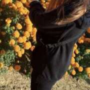 ヒメ日記 2026/04/23 12:19 投稿 めい 迷宮の人妻 古河・久喜発