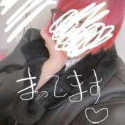 ヒメ日記 2024/12/25 11:46 投稿 せと Welcome Cafe(ウェルカムカフェ) 吉祥寺店