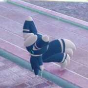 ヒメ日記 2026/04/09 17:08 投稿 せと Welcome Cafe(ウェルカムカフェ) 吉祥寺店