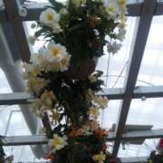 なおみ 暑い〜 錦糸町ちゃんこ