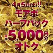 ヒメ日記 2025/04/05 11:14 投稿 しゅり 横浜人妻花壇本店