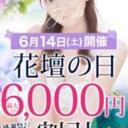 ヒメ日記 2025/06/14 10:07 投稿 しゅり 横浜人妻花壇本店