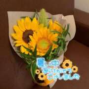 ヒメ日記 2025/08/06 21:44 投稿 しゅり 横浜人妻花壇本店