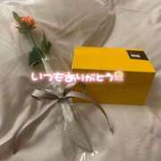 ヒメ日記 2025/08/30 07:27 投稿 しゅり 横浜人妻花壇本店