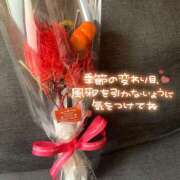 ヒメ日記 2025/10/31 23:23 投稿 しゅり 横浜人妻花壇本店