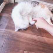 ヒメ日記 2025/10/21 23:50 投稿 まどか ラブリップ大宮店