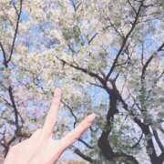 ヒメ日記 2025/04/06 13:20 投稿 まどか ラブリップ所沢