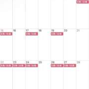 ヒメ日記 2026/02/03 19:07 投稿 ユリ PLATINUM