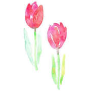 ヒメ日記 2025/03/19 16:03 投稿 しの 治療院.LOVE 宇都宮店