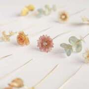 ヒメ日記 2025/08/15 12:48 投稿 しの 治療院.LOVE 宇都宮店