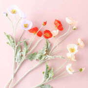 ヒメ日記 2025/12/21 22:06 投稿 しの 治療院.LOVE 宇都宮店