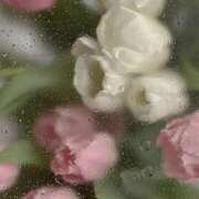 ヒメ日記 2026/01/15 11:33 投稿 しの 治療院.LOVE 宇都宮店