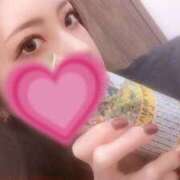 静香～しずか～ 静香～しずか～（スピード日本橋店） スピード日本橋店