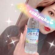 静香～しずか～ 静香～しずか～（スピード日本橋店） スピード日本橋店