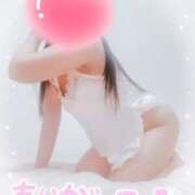 ヒメ日記 2025/04/20 10:12 投稿 金田真奈 五十路マダム 愛されたい熟女たち 高松店