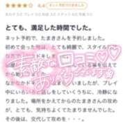 ヒメ日記 2025/02/12 22:44 投稿 たまき チューリップ福井本館