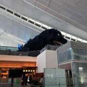 ヒメ日記 2025/11/22 14:31 投稿 天野なこ やみつきエステ錦糸町店