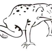 ヒメ日記 2025/11/29 17:50 投稿 天野なこ やみつきエステ錦糸町店