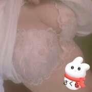 ヒメ日記 2024/12/14 18:15 投稿 さくら カリビアン