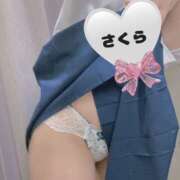 ヒメ日記 2025/03/06 18:25 投稿 さくら カリビアン