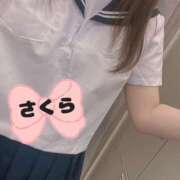 ヒメ日記 2025/03/13 20:03 投稿 さくら カリビアン