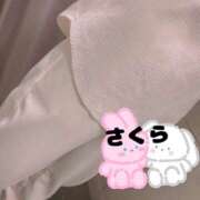 ヒメ日記 2025/03/14 18:01 投稿 さくら カリビアン