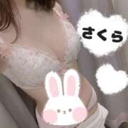 ヒメ日記 2025/03/23 16:55 投稿 さくら カリビアン