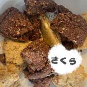 ヒメ日記 2025/05/26 19:02 投稿 さくら カリビアン