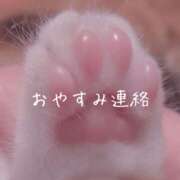 ヒメ日記 2025/06/07 16:55 投稿 さくら カリビアン