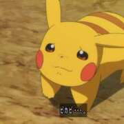 ヒメ日記 2025/12/22 17:04 投稿 さくら カリビアン