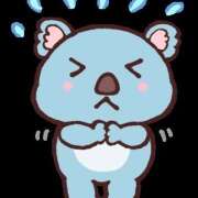 ヒメ日記 2025/03/14 13:46 投稿 あんな カリビアン