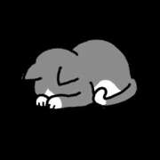 ヒメ日記 2025/06/11 11:03 投稿 あんな カリビアン