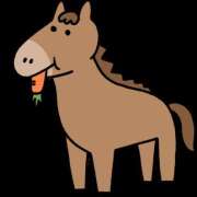 ヒメ日記 2026/01/08 11:36 投稿 あんな カリビアン