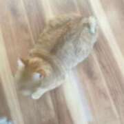 ヒメ日記 2025/02/22 22:22 投稿 工藤ももこ しこたま奥様 横浜店