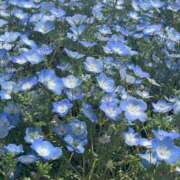 ヒメ日記 2025/05/21 09:42 投稿 工藤ももこ しこたま奥様 横浜店