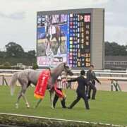 ヒメ日記 2025/10/19 21:12 投稿 工藤ももこ しこたま奥様 横浜店