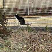 ヒメ日記 2026/01/24 09:32 投稿 工藤ももこ しこたま奥様 横浜店