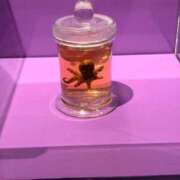 工藤ももこ ٩( ˙꒳​˙  )ว=͟͟͞ しこたま奥様 横浜店