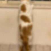 ヒメ日記 2026/06/03 08:42 投稿 工藤ももこ しこたま奥様 横浜店