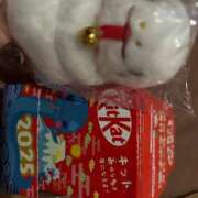 ヒメ日記 2025/01/18 16:04 投稿 あい チューリップ福井別館