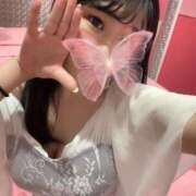 ヒメ日記 2025/03/15 09:14 投稿 あい チューリップ福井別館