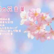 ヒメ日記 2024/12/16 01:52 投稿 まき 甲府人妻隊