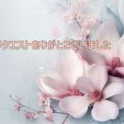 ヒメ日記 2024/12/18 20:13 投稿 まき 甲府人妻隊