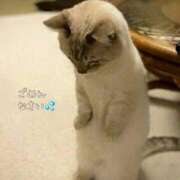 ヒメ日記 2025/02/02 10:50 投稿 まき 甲府人妻隊