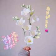 ヒメ日記 2025/02/11 12:15 投稿 まき 甲府人妻隊