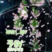 ヒメ日記 2025/03/29 21:18 投稿 まき 甲府人妻隊