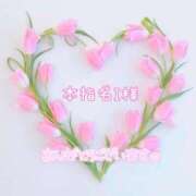 ヒメ日記 2025/04/03 17:33 投稿 まき 甲府人妻隊