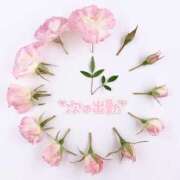 ヒメ日記 2025/04/07 14:19 投稿 まき 甲府人妻隊