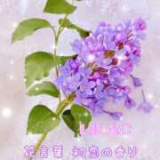 ヒメ日記 2025/04/13 23:11 投稿 まき 甲府人妻隊