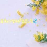 ヒメ日記 2025/04/17 16:14 投稿 まき 甲府人妻隊